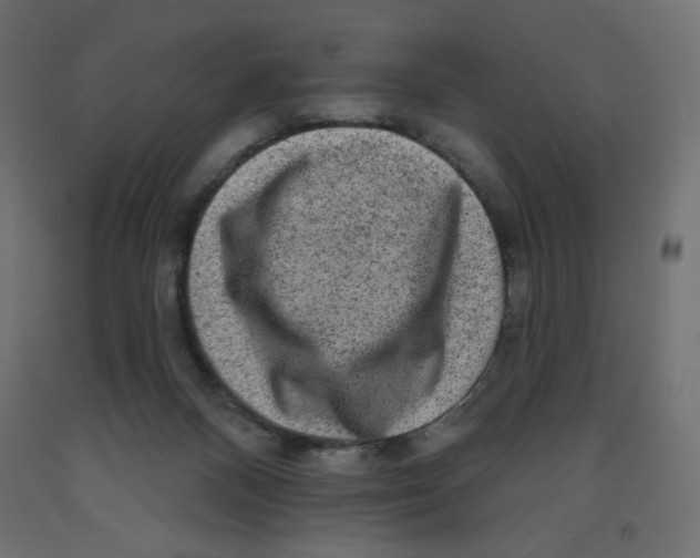 X0000091850120200710031649