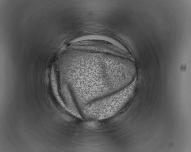 X0000091850121200710031649