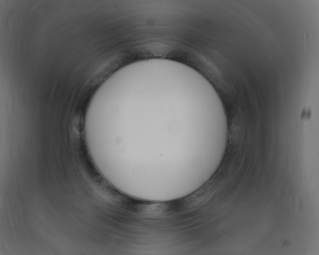 X0000091850122200710031649