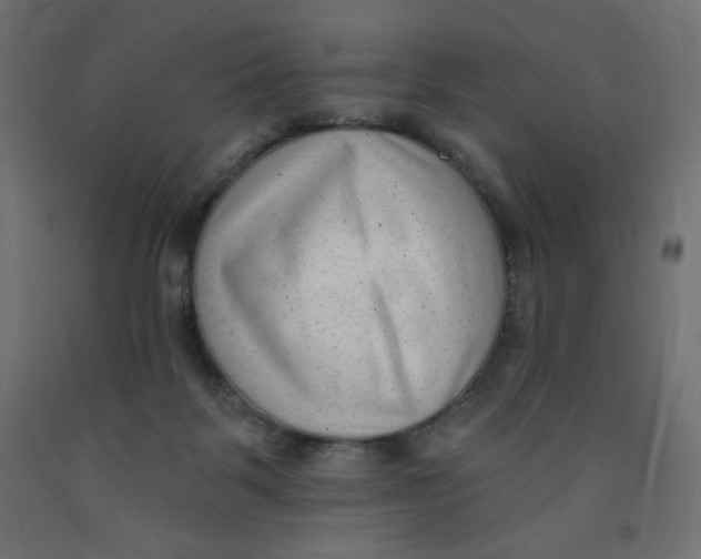 X0000091850123200710031649
