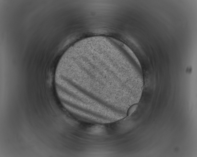X0000091850124200710031649