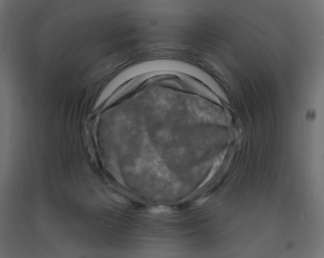 X0000091850125200710031649