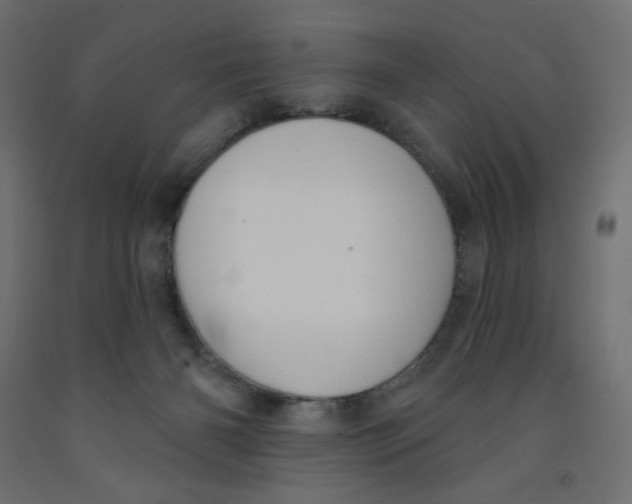 X0000091850126200710031649