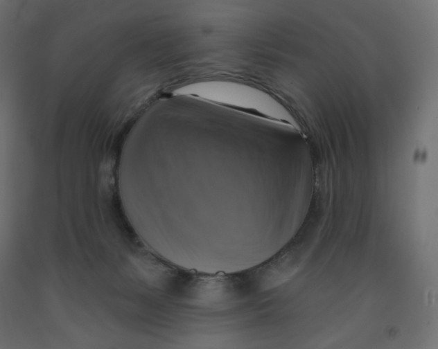 X0000091850127200710031649