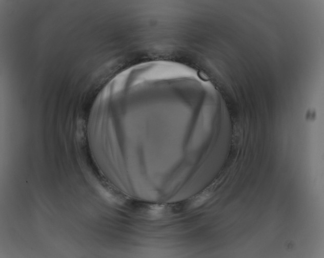 X0000091850130200710031649