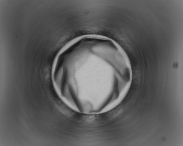 X0000091850131200710031649