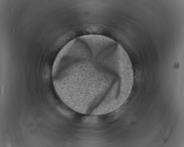 X0000091850132200710031649