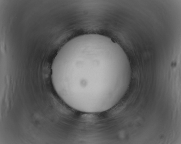 X0000091850133200710031649