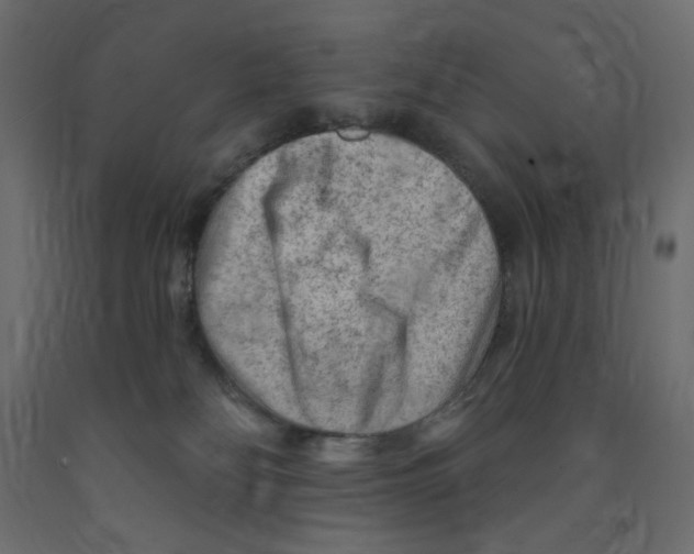 X0000091850134200710031649