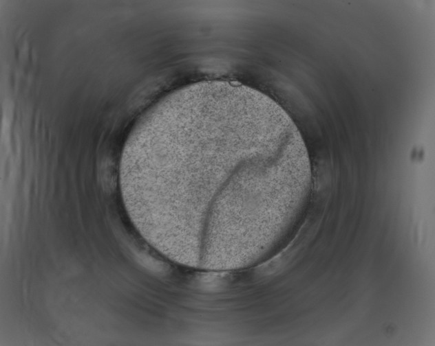 X0000091850136200710031649