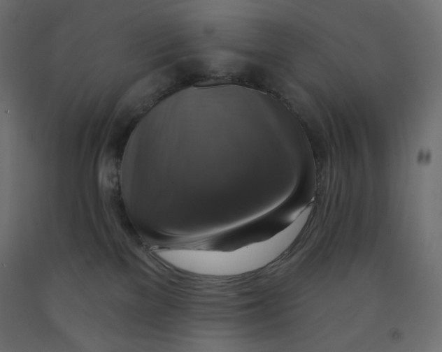 X0000091850137200710031649