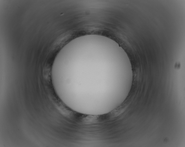 X0000091850138200710031649