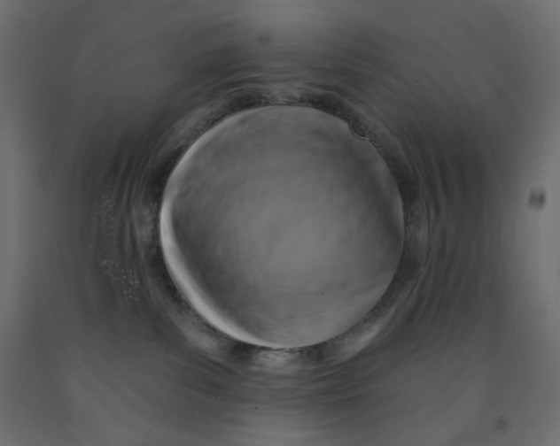 X0000091850139200710031649