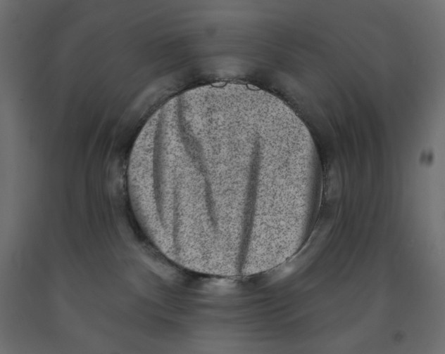 X0000091850140200710031649