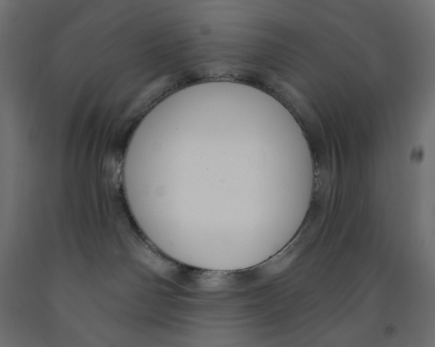 X0000091850142200710031649