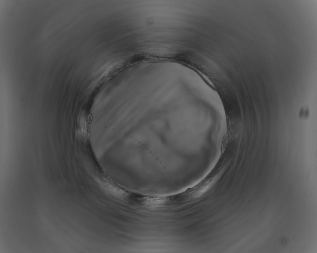 X0000091850143200710031649