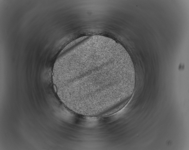 X0000091850144200710031649