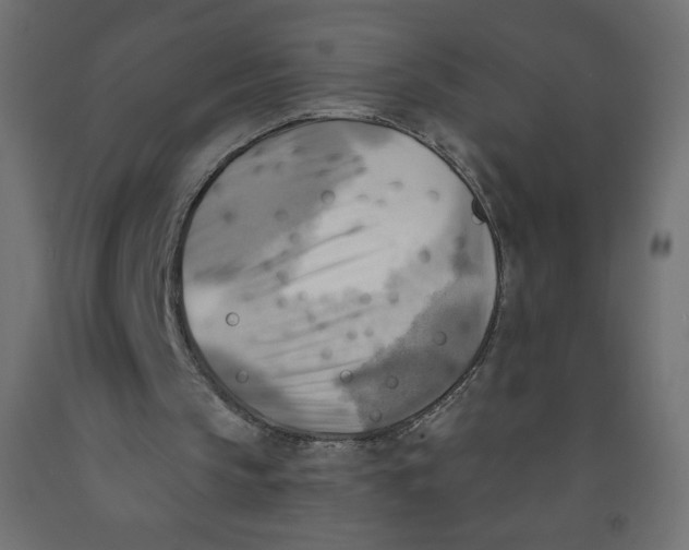 X0000091850145200710031648