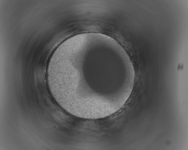 X0000091850146200710031648