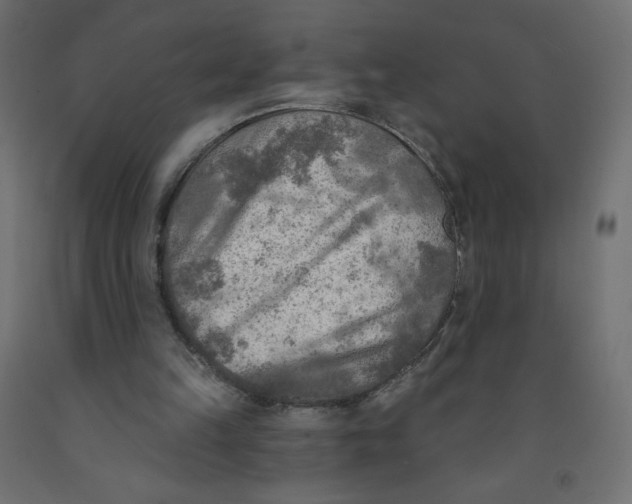 X0000091850149200710031648