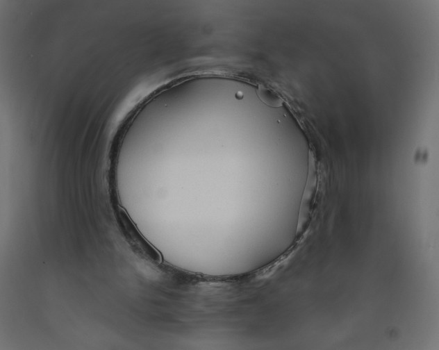 X0000091850150200710031648