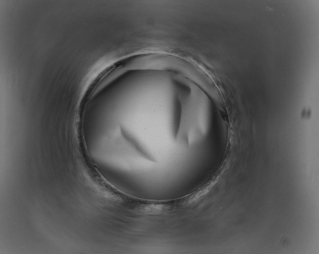 X0000091850152200710031648