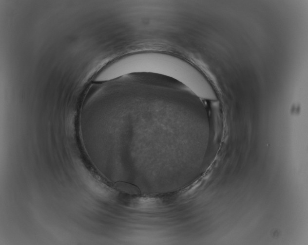X0000091850154200710031648