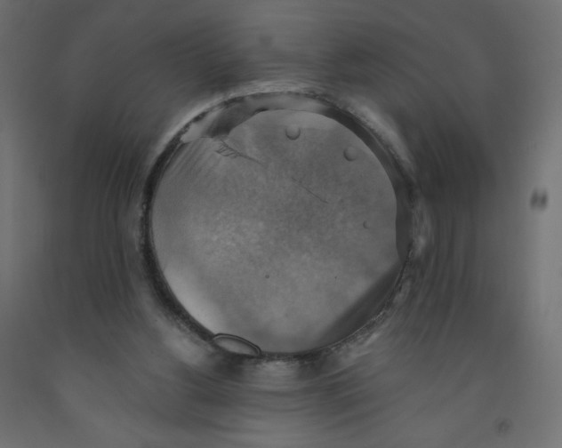 X0000091850156200710031648