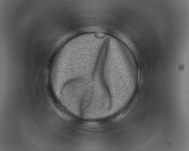 X0000091850157200710031648