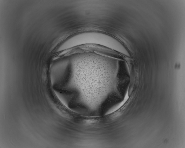 X0000091850158200710031648