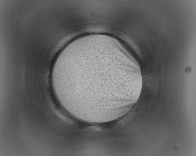 X0000091850159200710031648