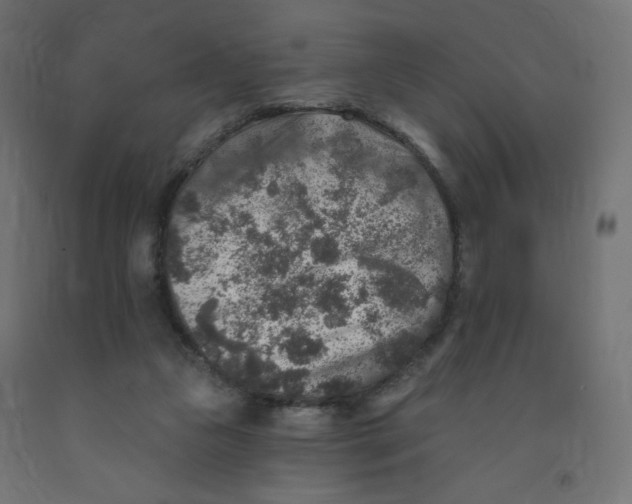 X0000091850161200710031648