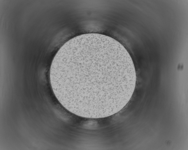 X0000091850162200710031648