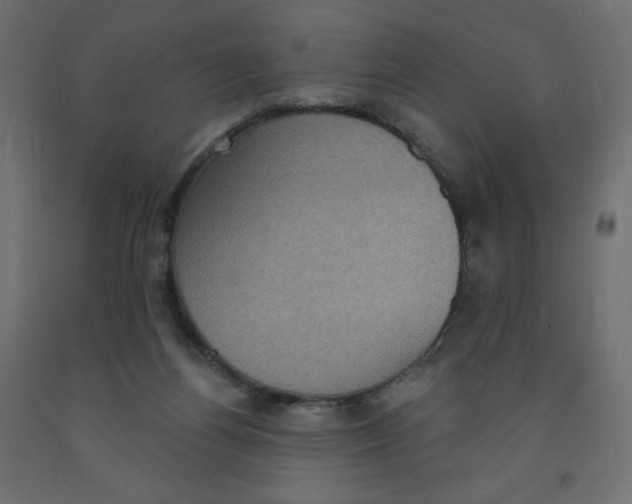 X0000091850164200710031648