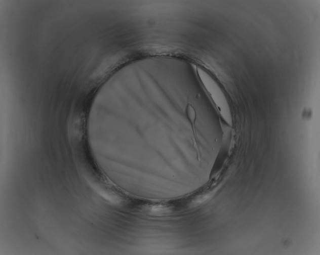 X0000091850165200710031648