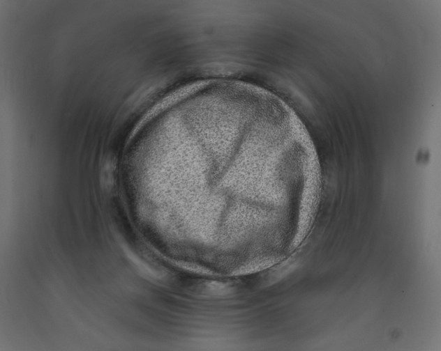 X0000091850166200710031648