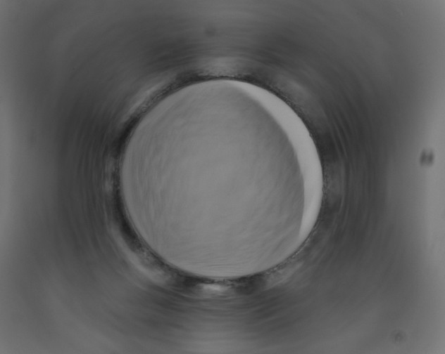 X0000091850167200710031648