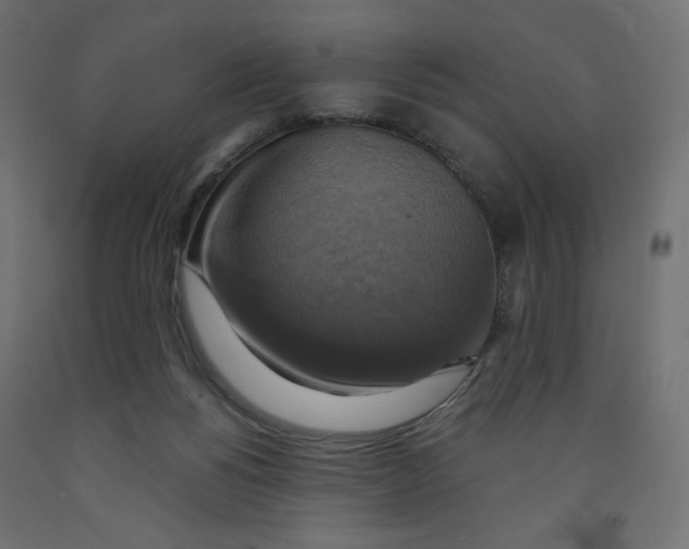 X0000091850168200710031648