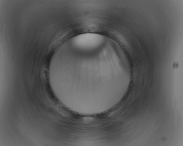 X0000091850169200710031648