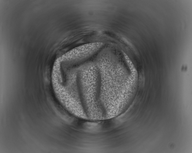 X0000091850170200710031648