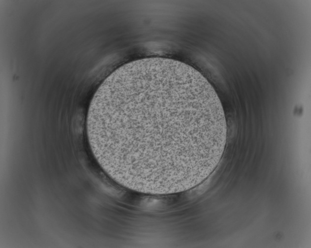 X0000091850174200710031648