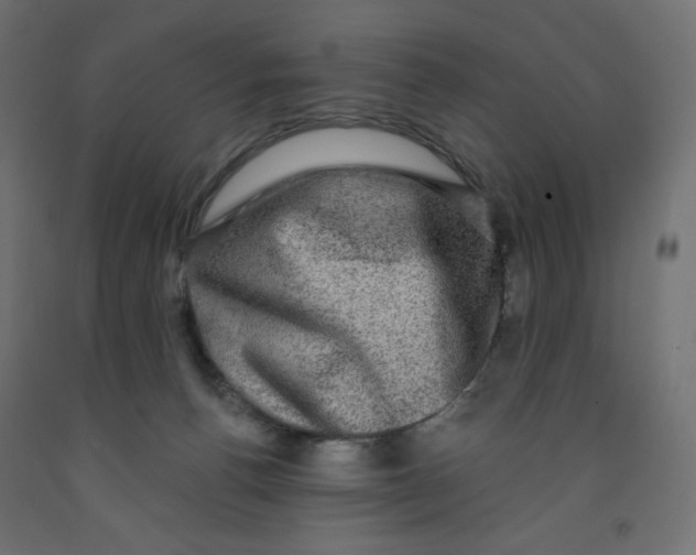 X0000091850176200710031648