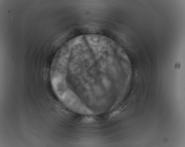 X0000091850177200710031648