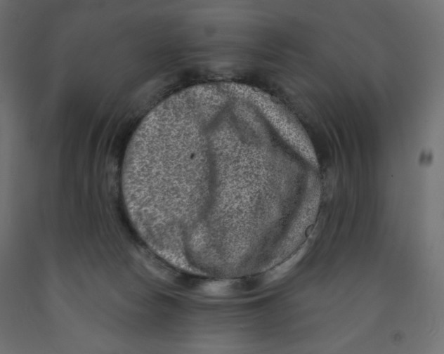 X0000091850178200710031648
