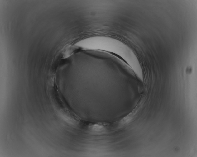 X0000091850180200710031648