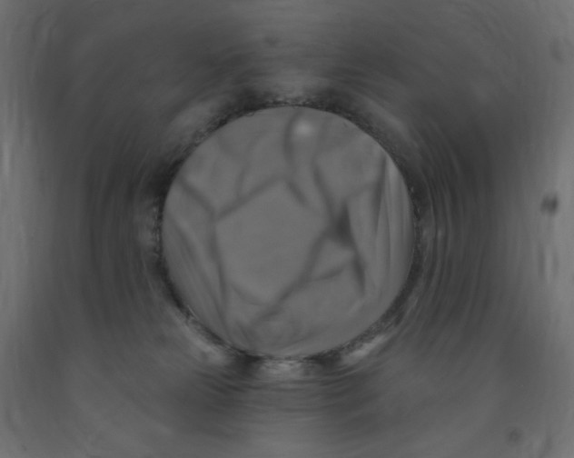 X0000091850181200710031649