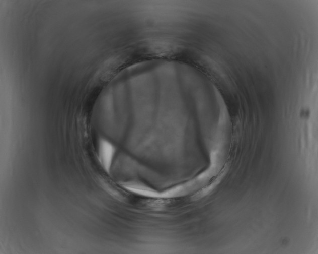 X0000091850182200710031649