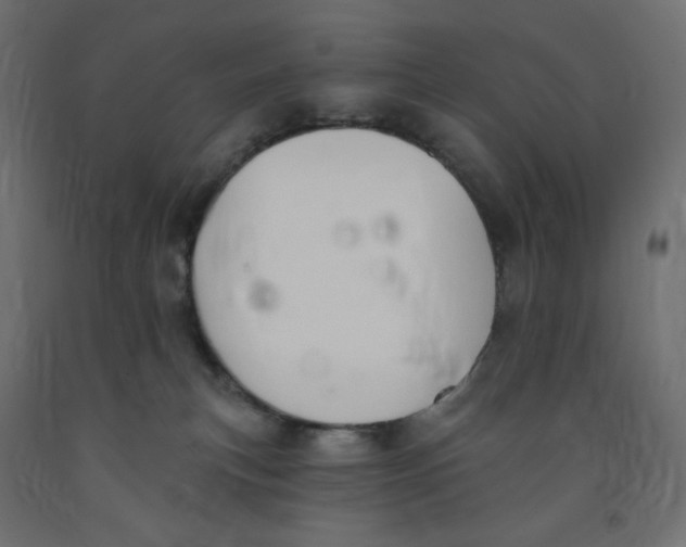 X0000091850183200710031649