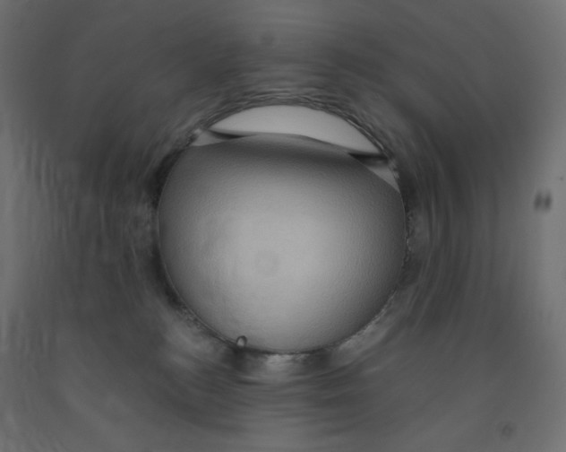 X0000091850184200710031649