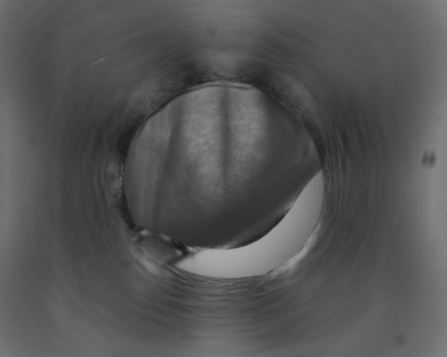 X0000091850186200710031649